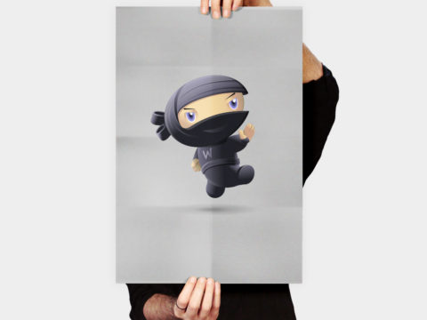 Flying Ninja